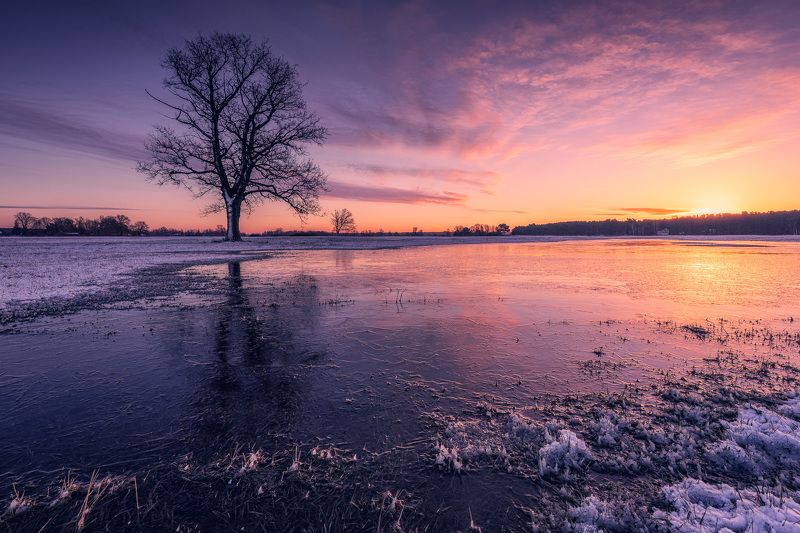 Masovian backwaters фото превью