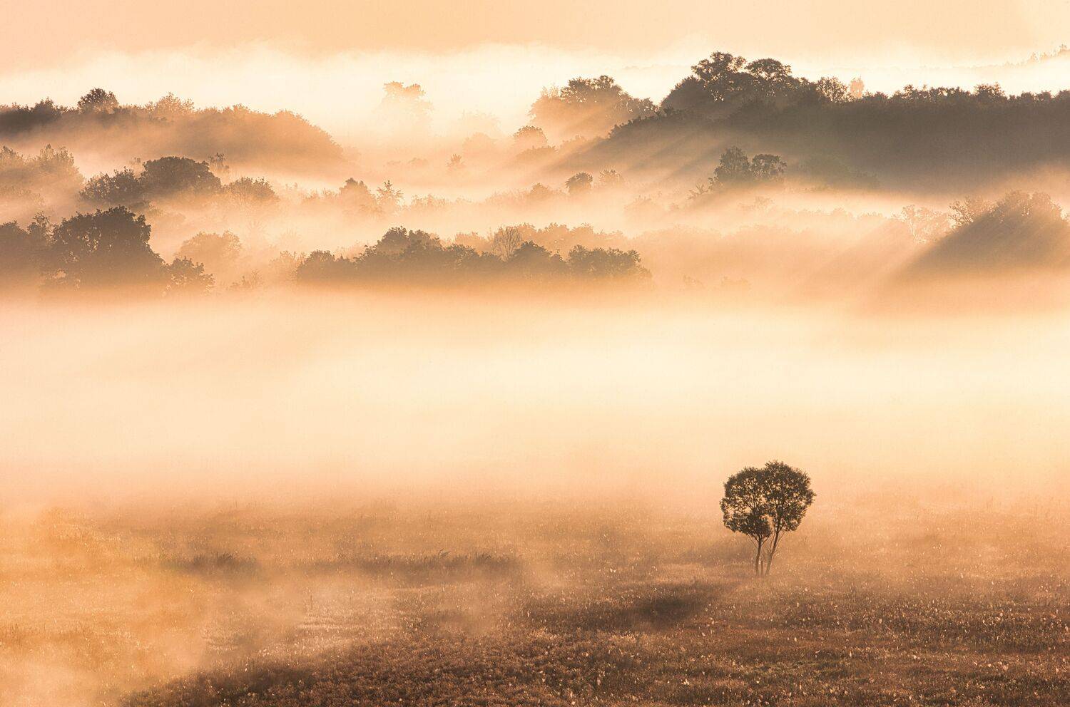 , Барабанов Алексей
