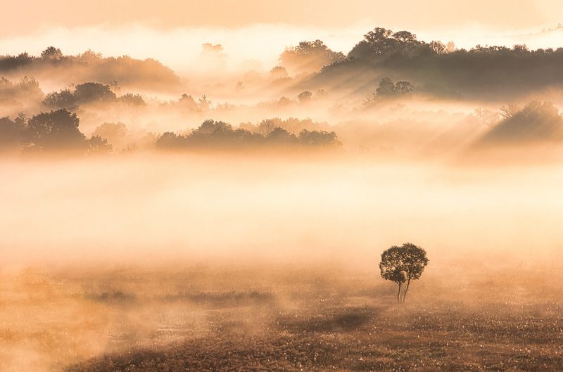 Одиночество фото превью