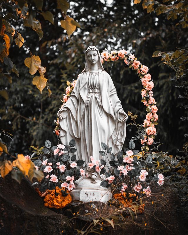bieszczady, połonina, wetlińska, pasture, wetlina, smerek, cisna, ustrzyki, wołosate, caryńska, poland, fiends, mountains, podkarpacie, podkarpackie, tourism, trekking, hiking, green, grass, autumn, brown, gold, sky, blue, cottage, pooh, trail, panorama, Bieszczady... фото превью