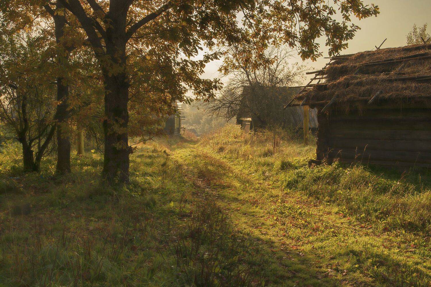 псковская обл,кинодеревня, alexOmRam