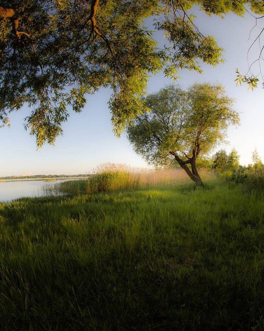 , Денис Абрамов