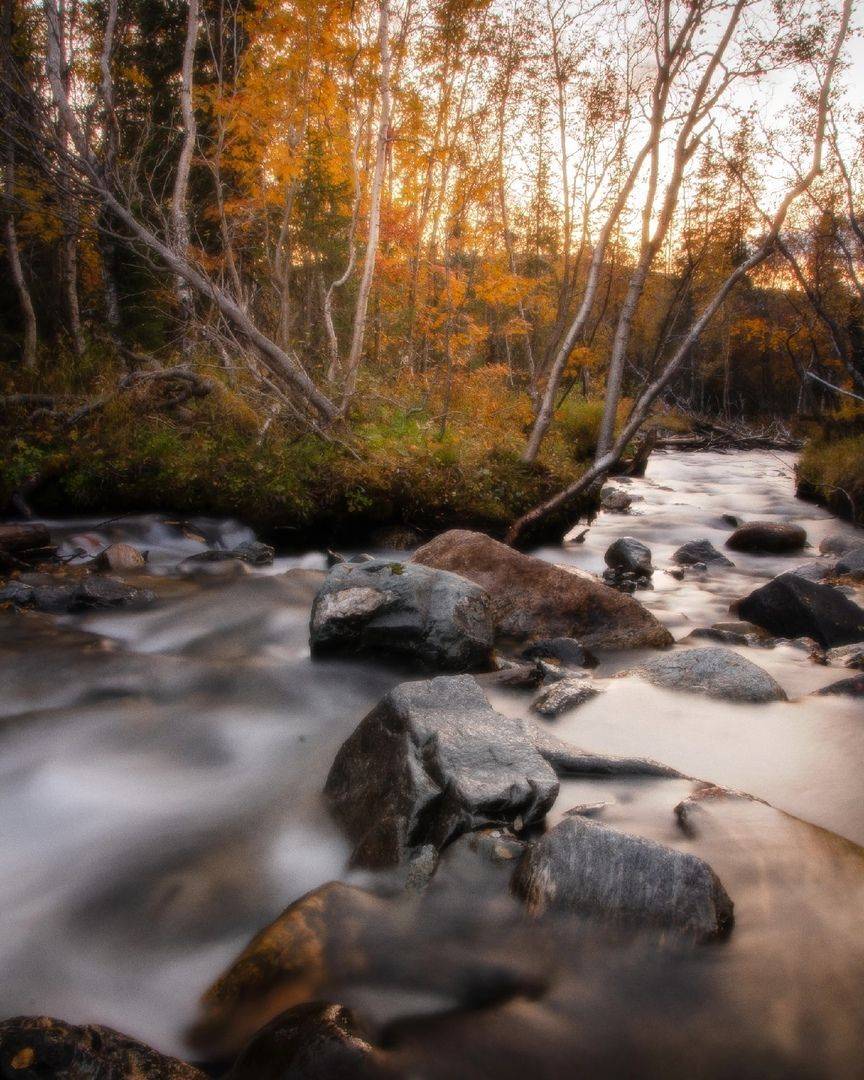 , Денис Абрамов