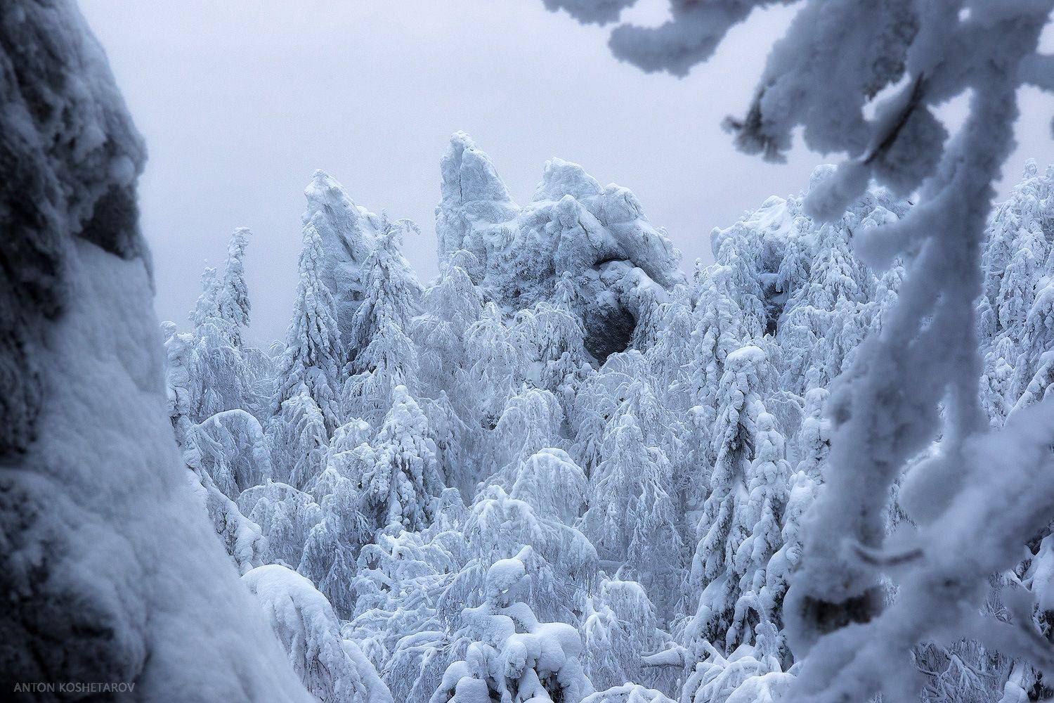 , Антон Кошетаров