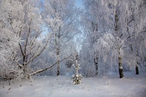 Принарядилась