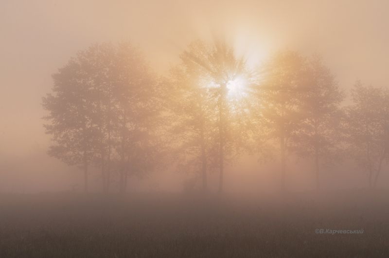 Ранним майским утром... фото превью