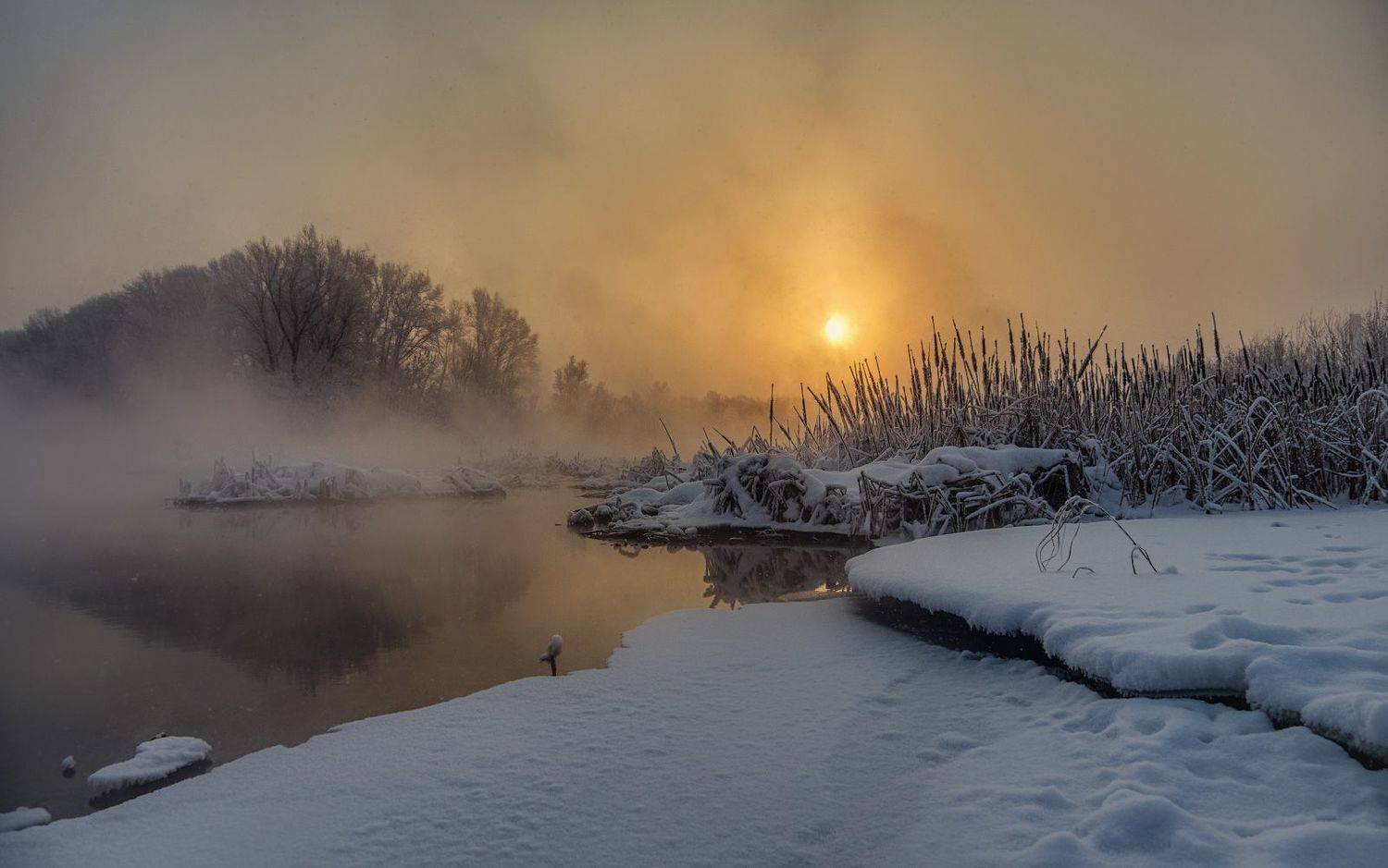 , Руслан Ахметшин