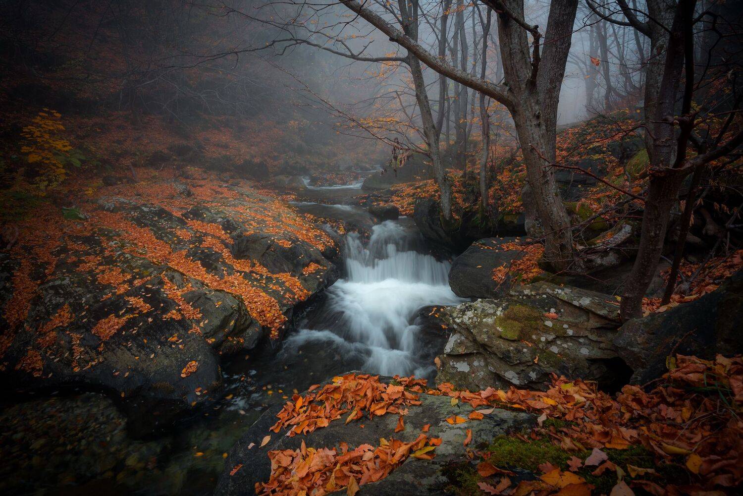 , Mariyana Atanasova - Lucero