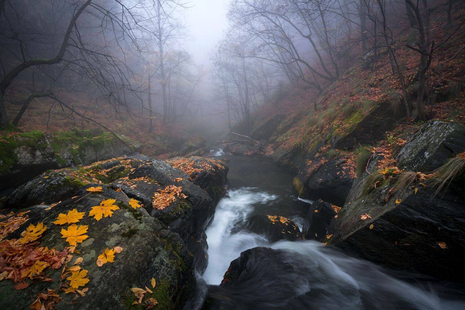 , Mariyana Atanasova - Lucero