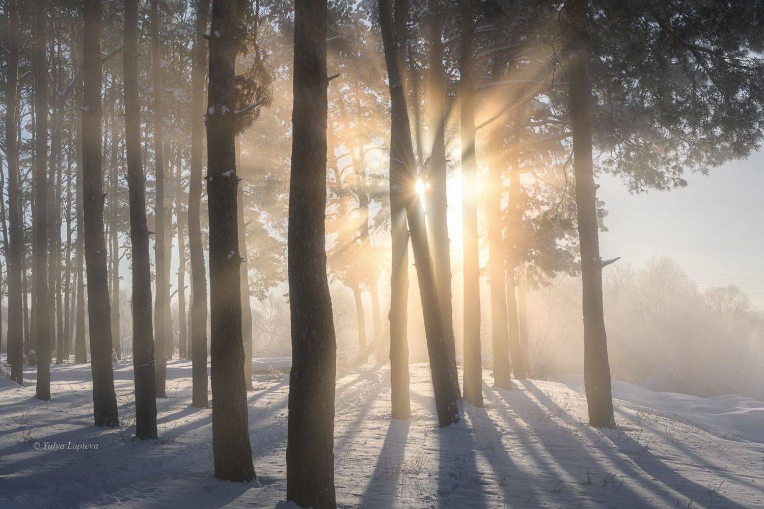 , Юлия Лаптева