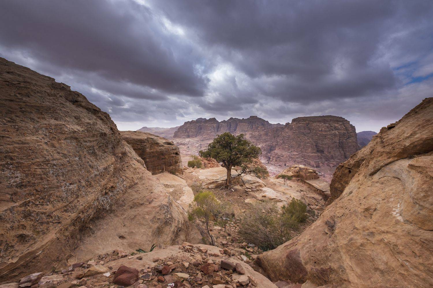 , Светлана Краюшкина