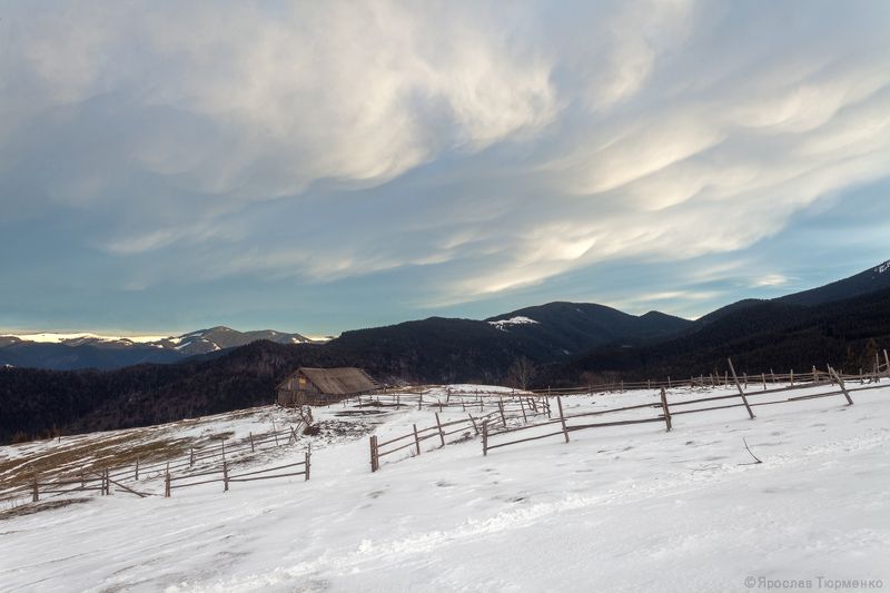 *** фото превью