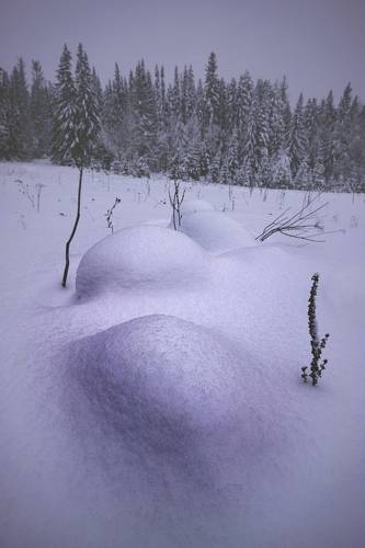 Снежные кочки