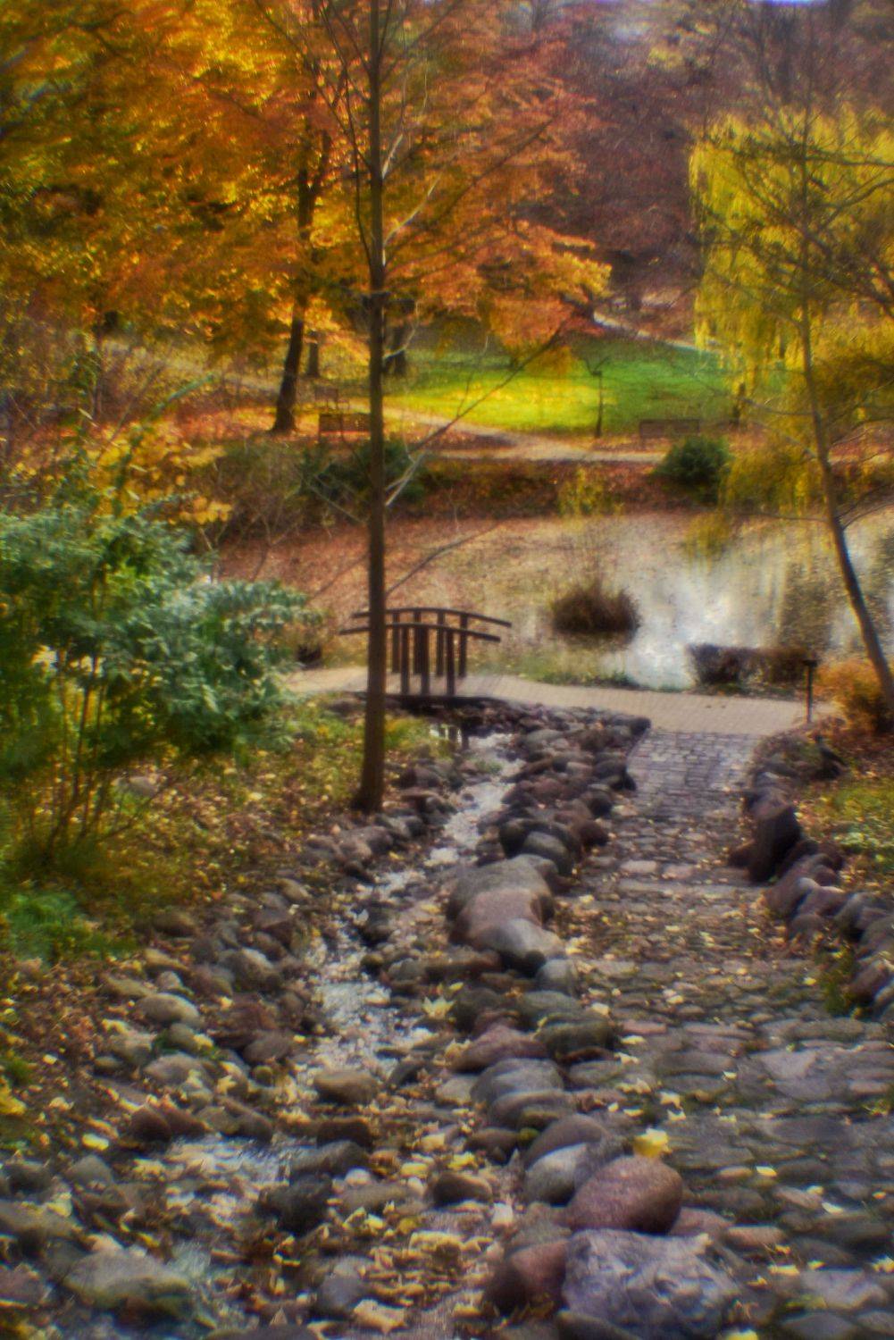 , Владимир Леликов-Кузьменко