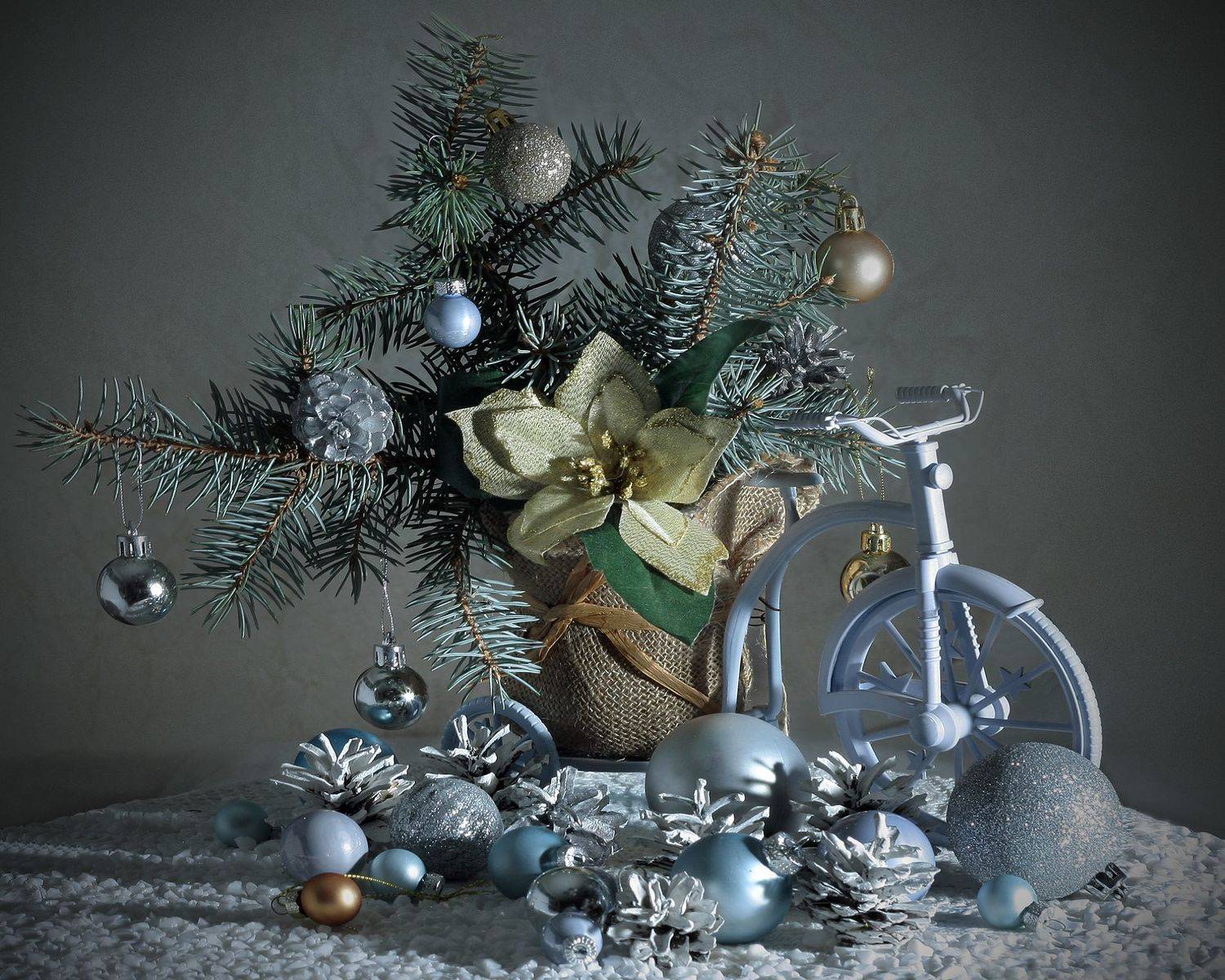 , Ольга Заболотская