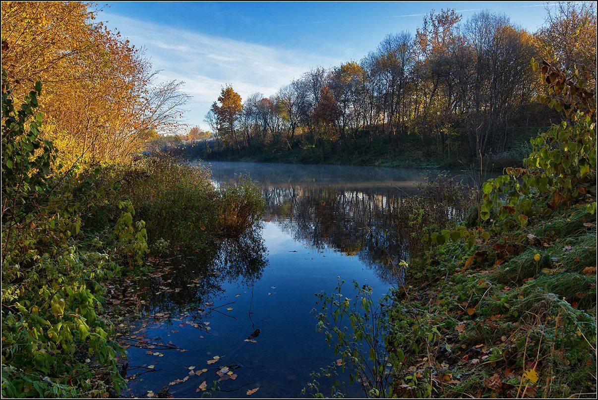 москва, осень, озеро, лес, отражение, АНАТОЛИЙ ДОВЫДЕНКО