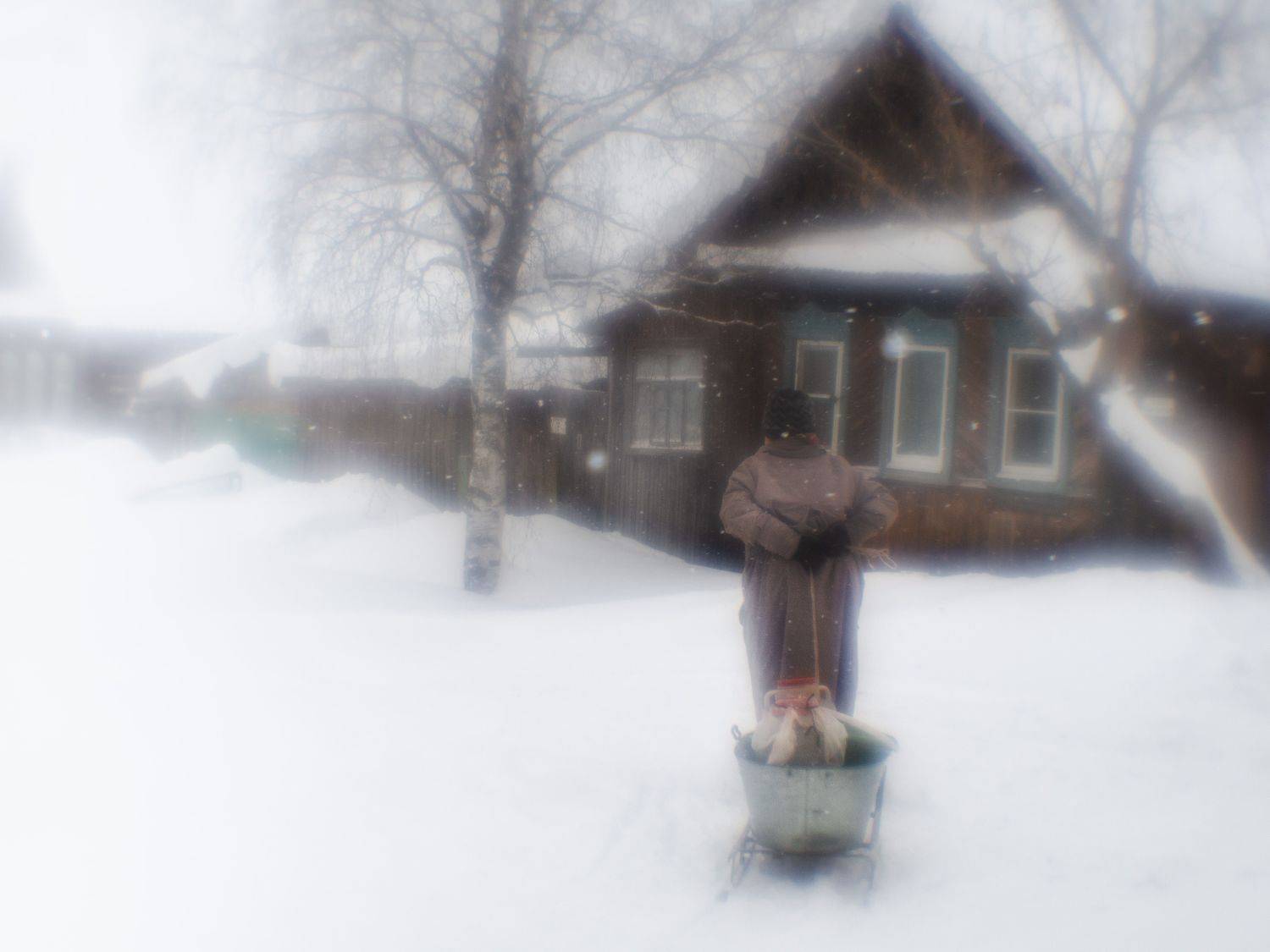 , Лариса Лофицкая