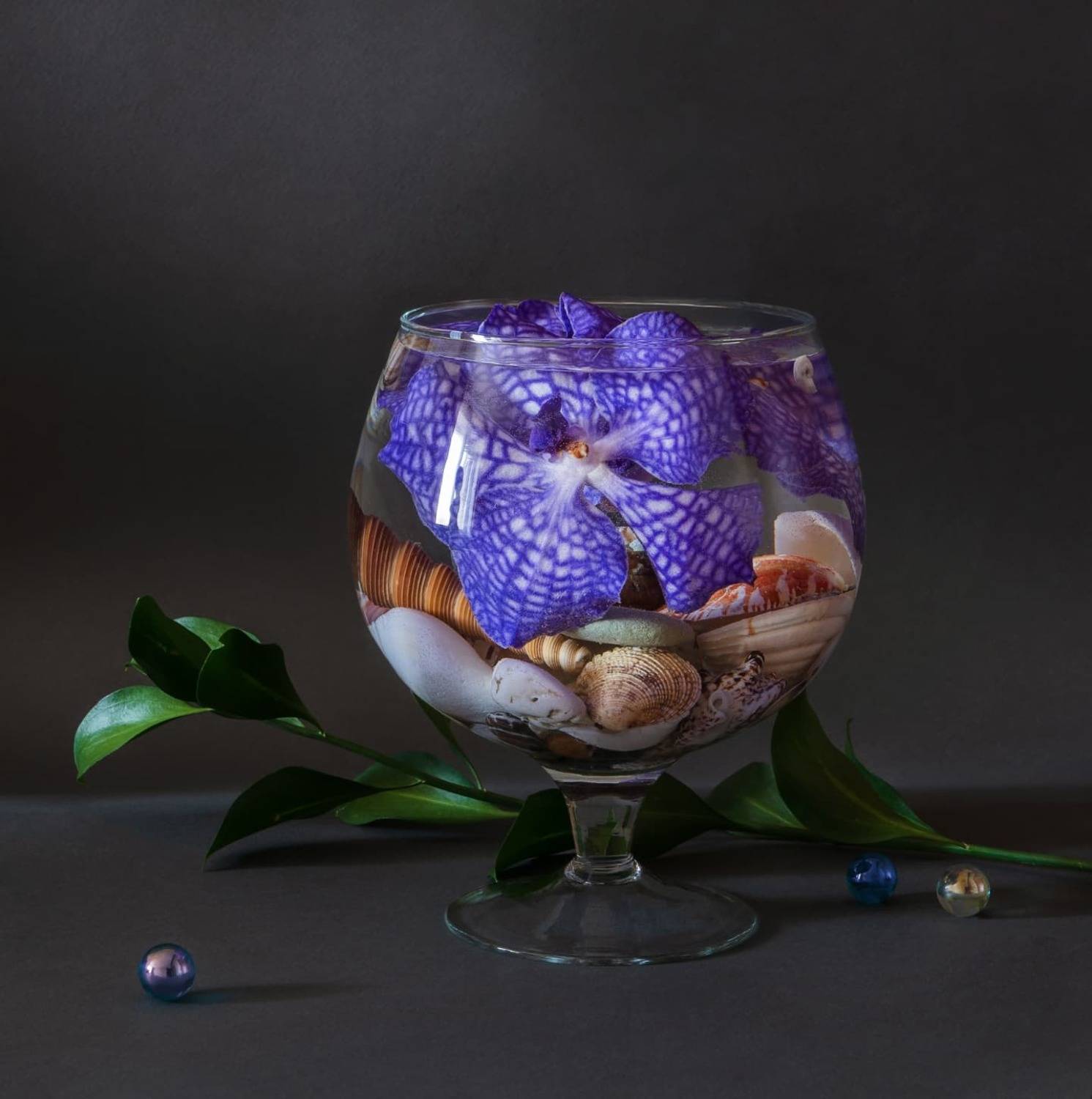 орхидеи, фужер, ракушки, отражение, силу,, Галина Тришина
