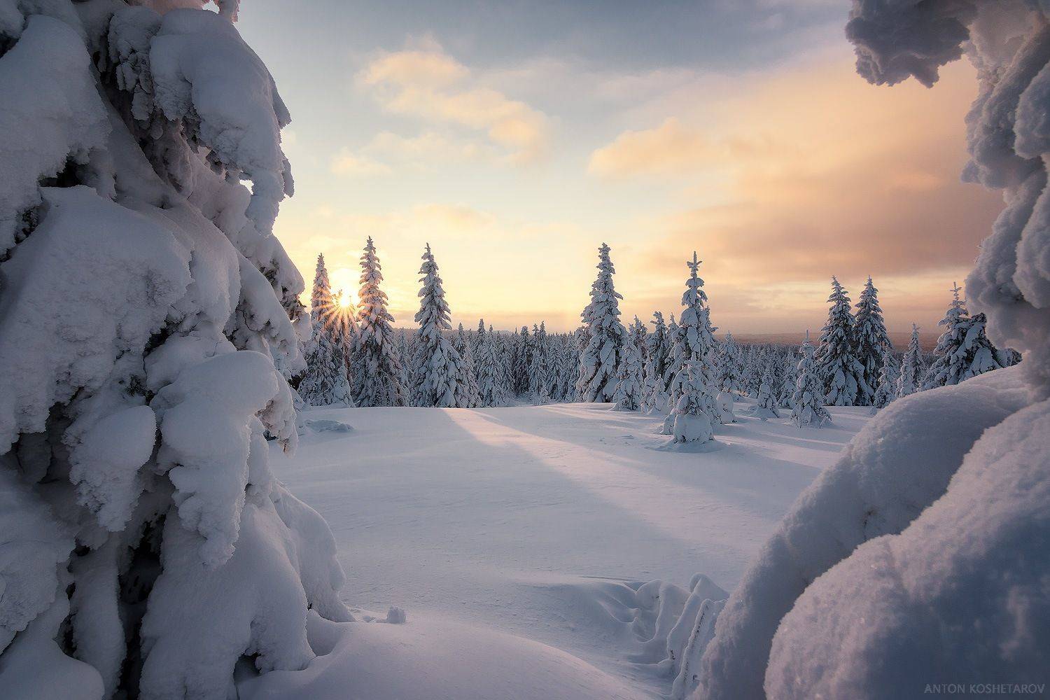 , Антон Кошетаров