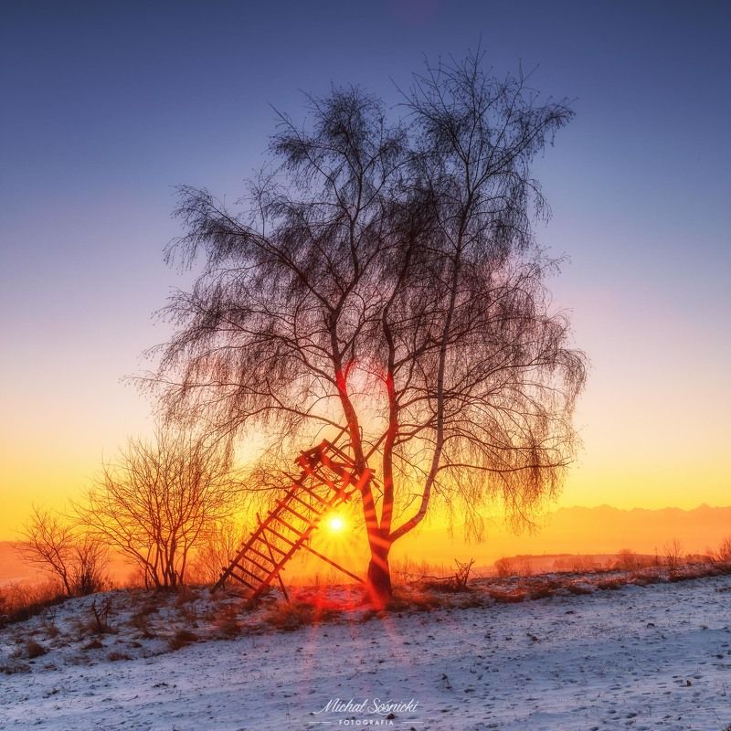 #poland #pentax #benro #lightroom #nikcollection #nature #sunrise #mountains #sky #fog #foggy #morning #pix Stairway to heaven... фото превью