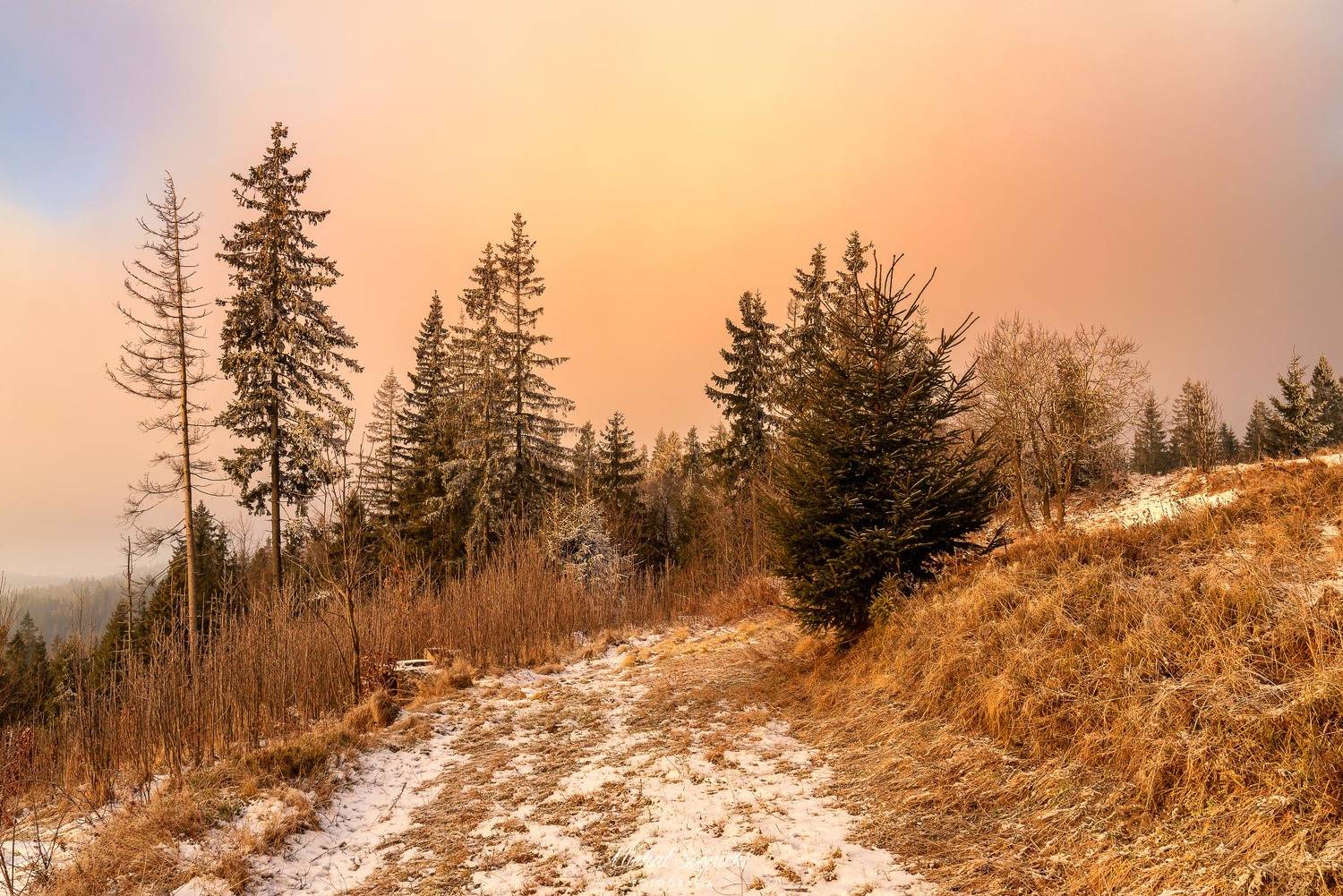 #poland #pentax #benro #lightroom #nikcollection #nature #sunrise #mountains #sky #fog #foggy #morning #pix #trees #sun, Michał Sośnicki