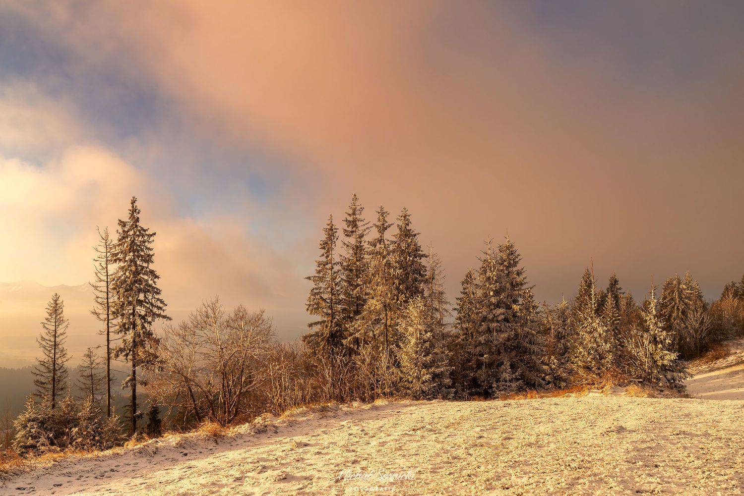 #poland #pentax #benro #lightroom #nikcollection #nature #sunrise #mountains #sky #fog #foggy #morning #pix #trees #sun, Michał Sośnicki