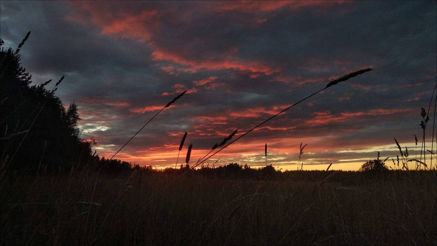 хутор каменистый., Виктор Васильев