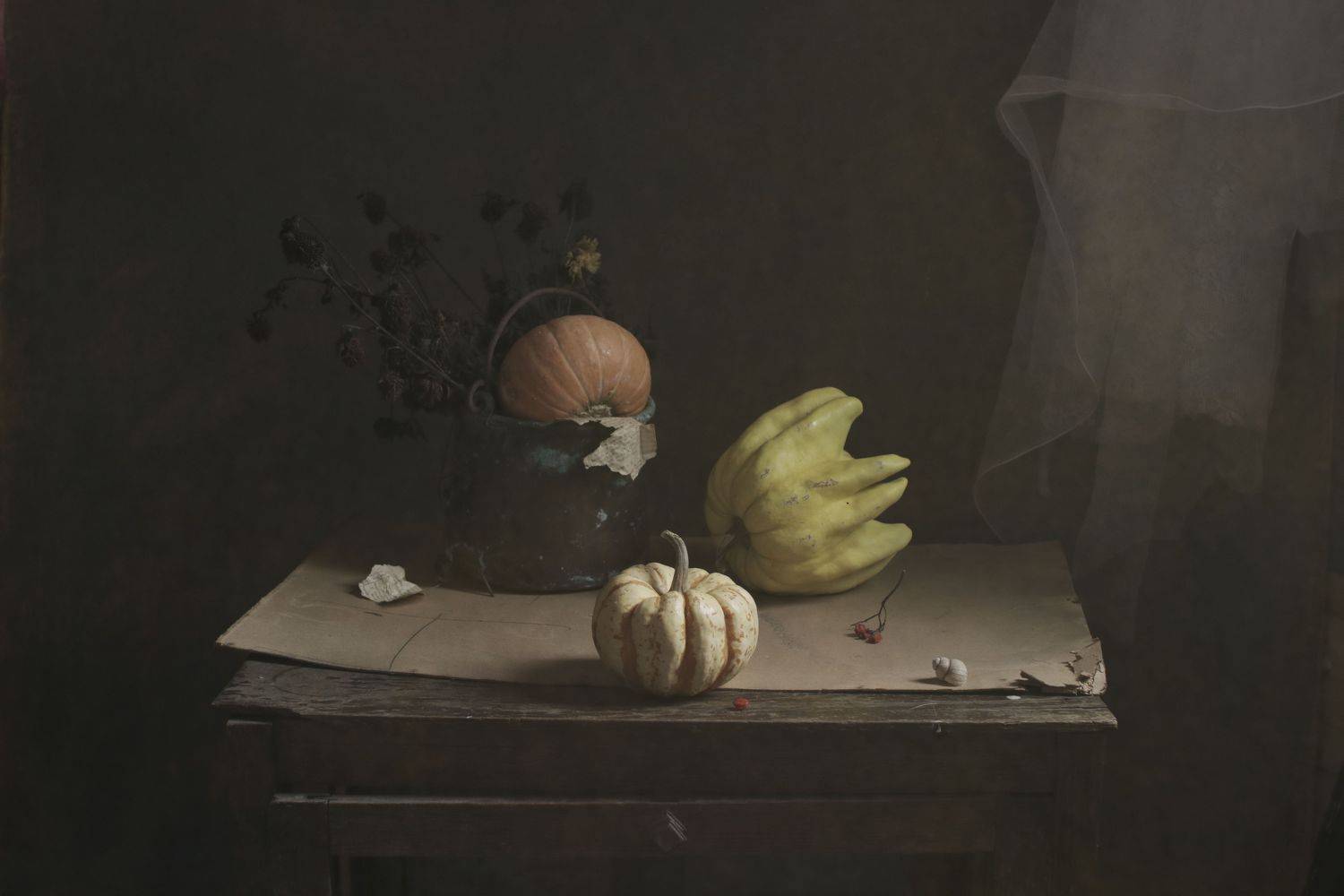 ***, Коршак Елена