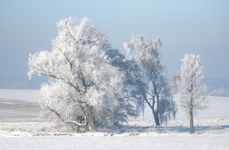 colours of winter... фото превью