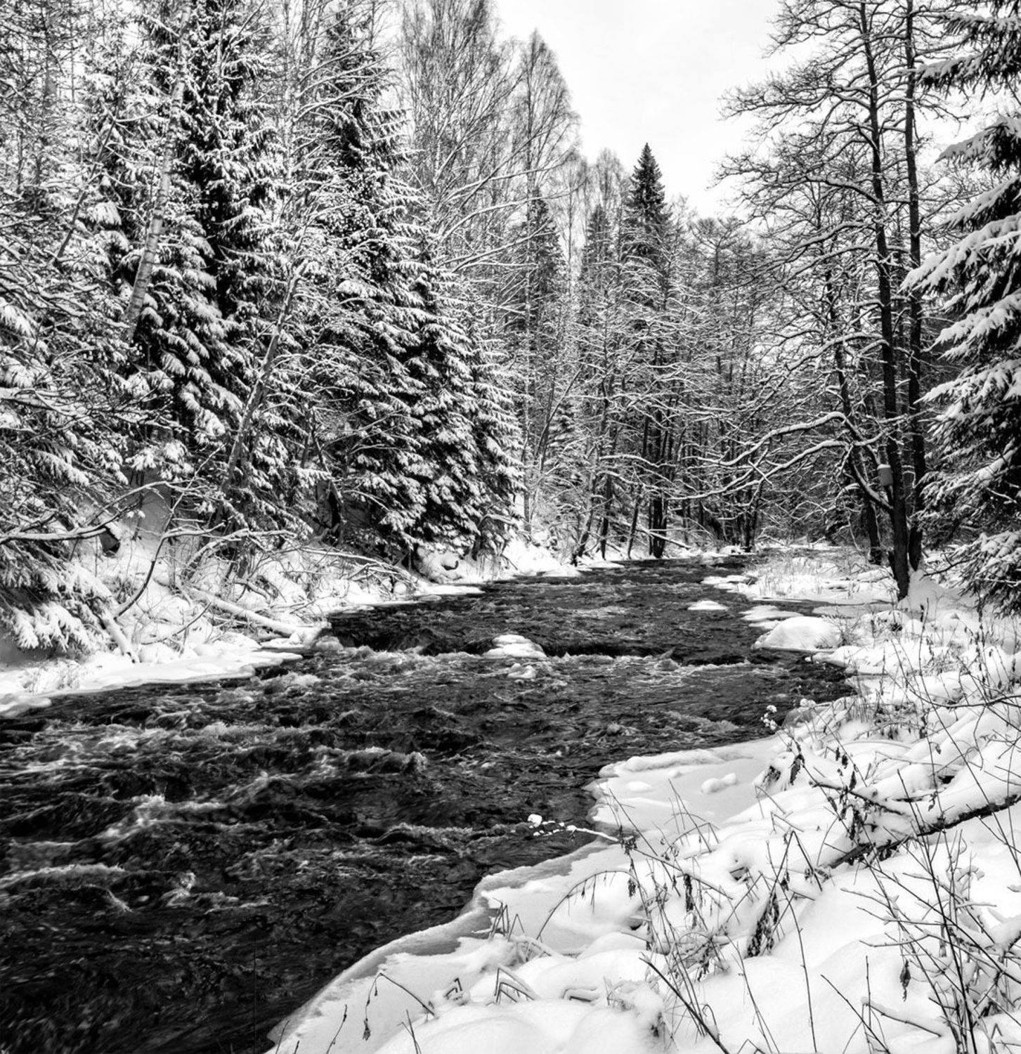 , Алексей Герасимов