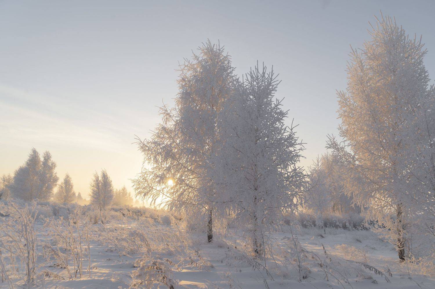 зима, Зорин Дмитрий