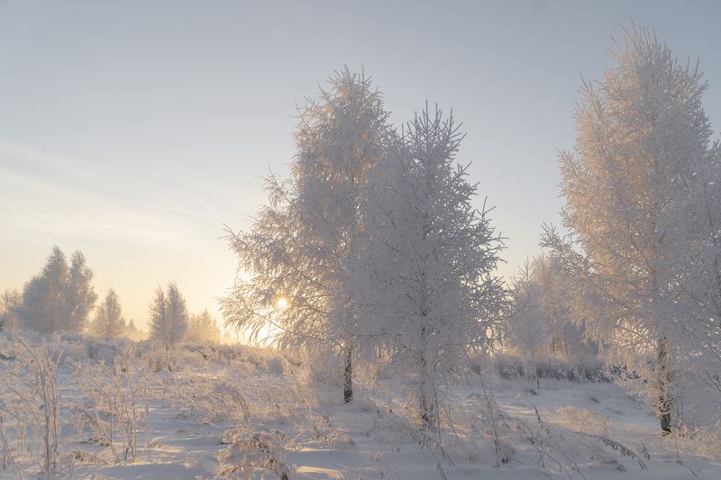 зима Зимняя сказка фото превью
