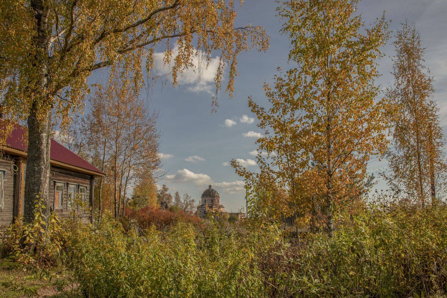 Тверская область, Гусева Елена