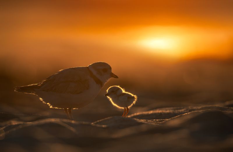 ❤️❤️ фото превью