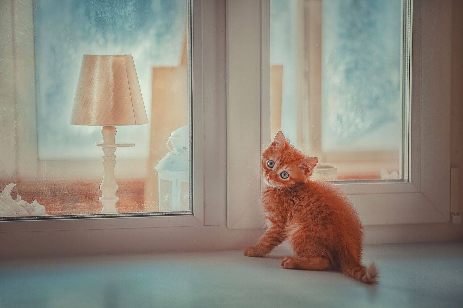 , Ксения Лысенкова