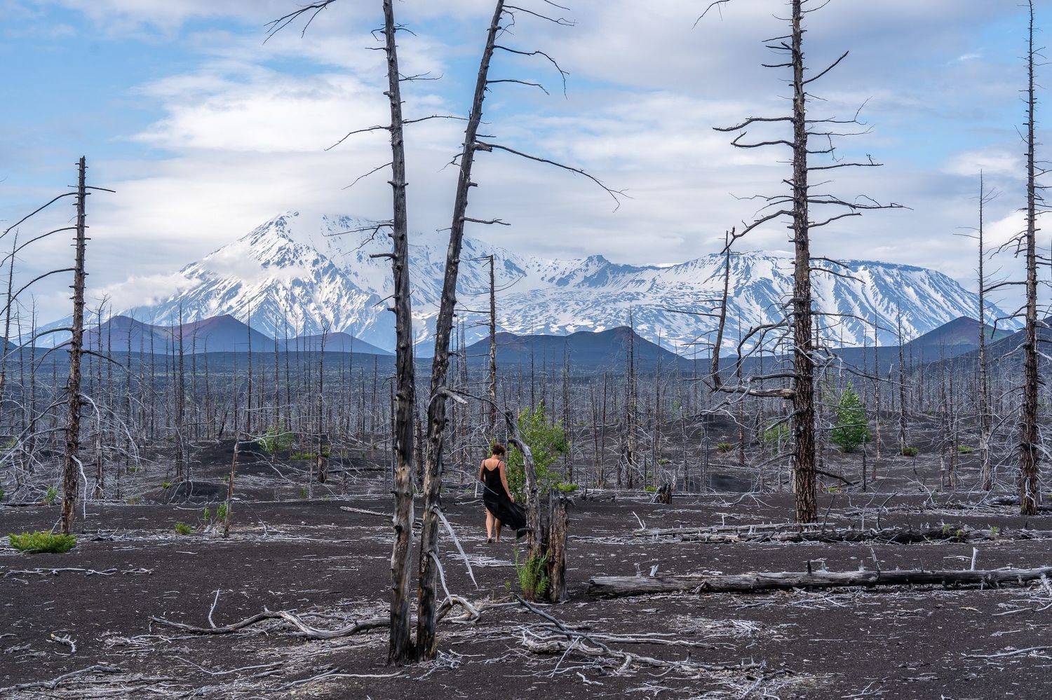 камчатка, мертвый лес, толбачик, volcano, tolbachik, kamchatka, Баландин Дмитрий