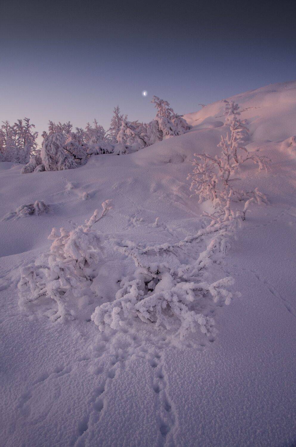 , Абрамов Денис