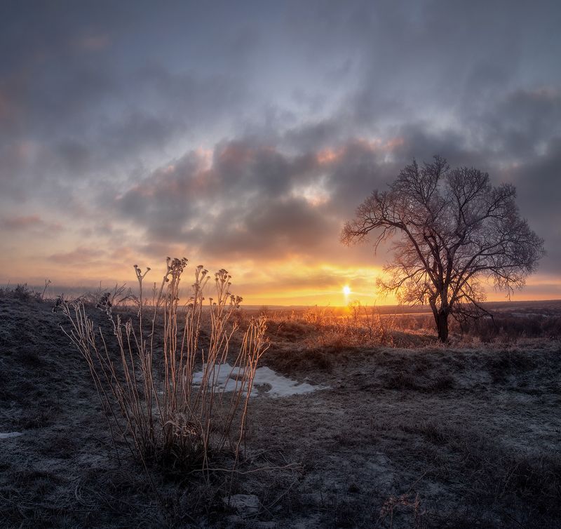 #ProDonbassWinter фото превью