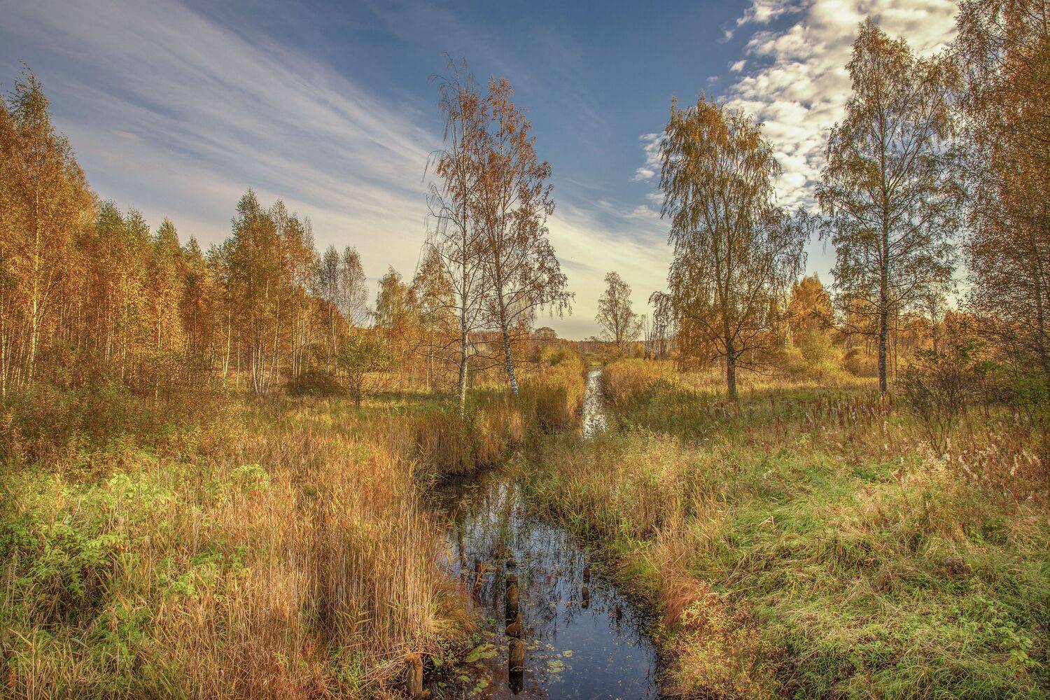 Тверская область, Гусева Елена
