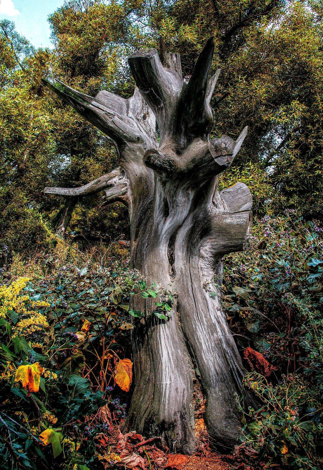 , Назаров Александр