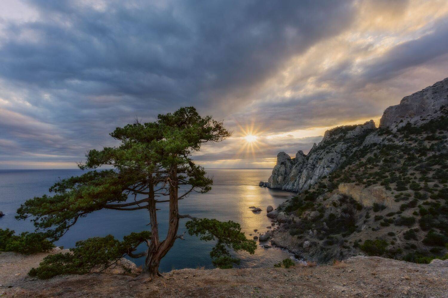 , Юлия Шумляева