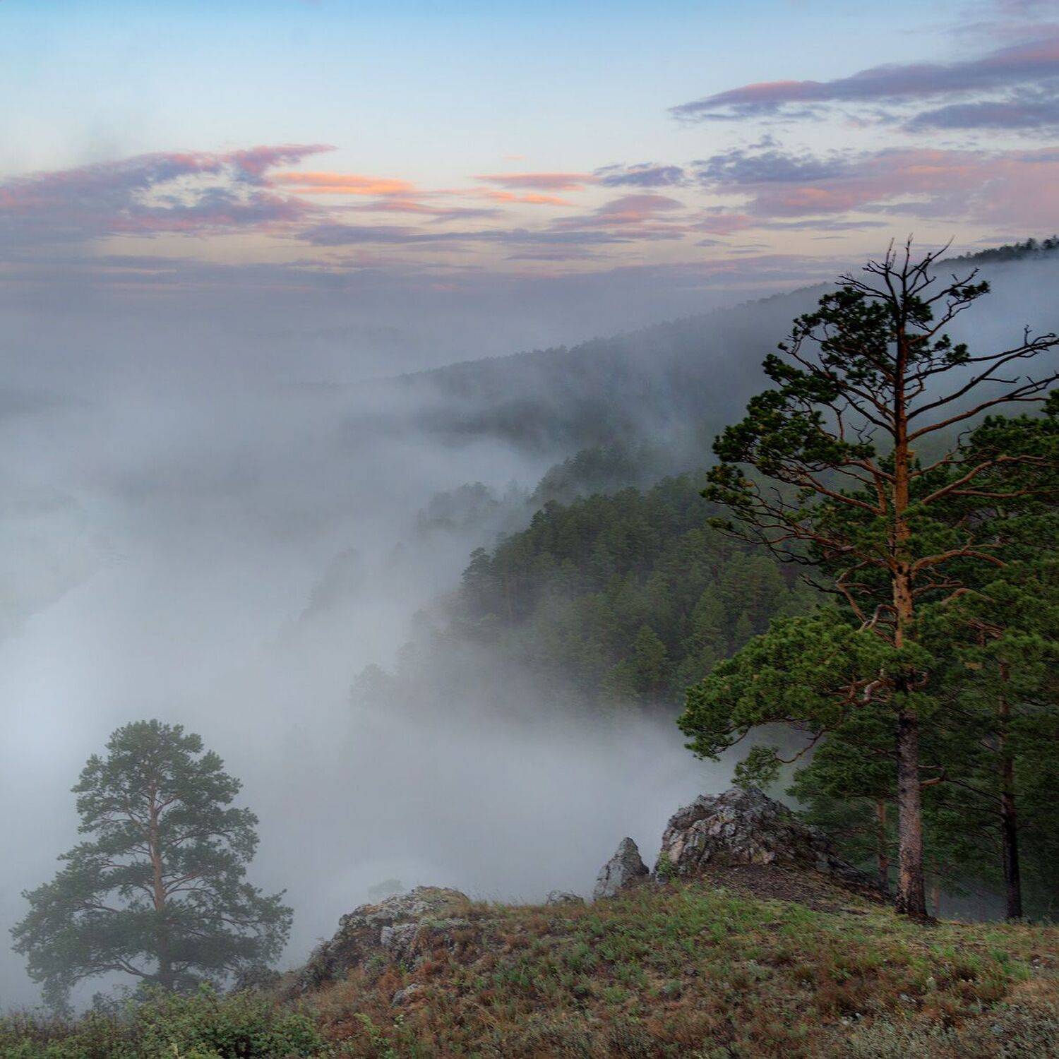 , Сергей Брагин