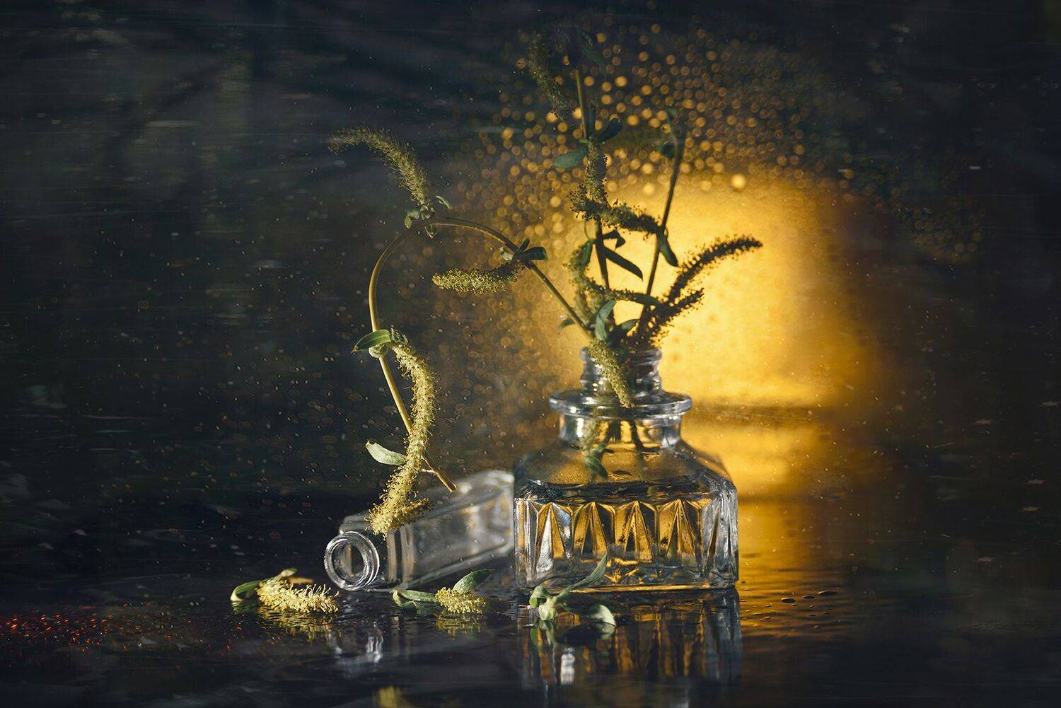 , MVO (Марк Орлов)