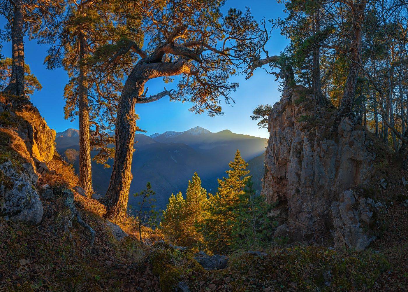 северный кавказ, горы, гора, вершина, хребет, небо, краски, синий, оранжевый, осень, закат, освещение, сосна, дерево, скалы, ствол, архыз,, Лашков Фёдор