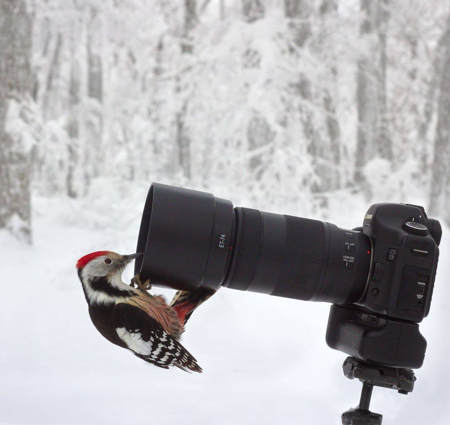 , Павел Блашкин