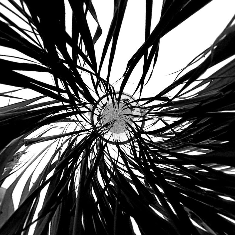 grass, abstract, b&w, art  фото превью