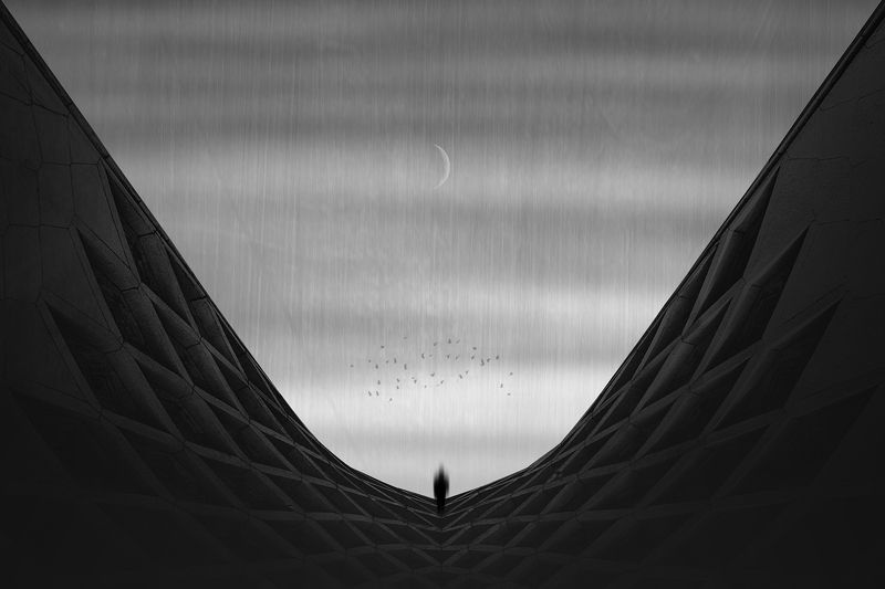 Dark Wings фото превью