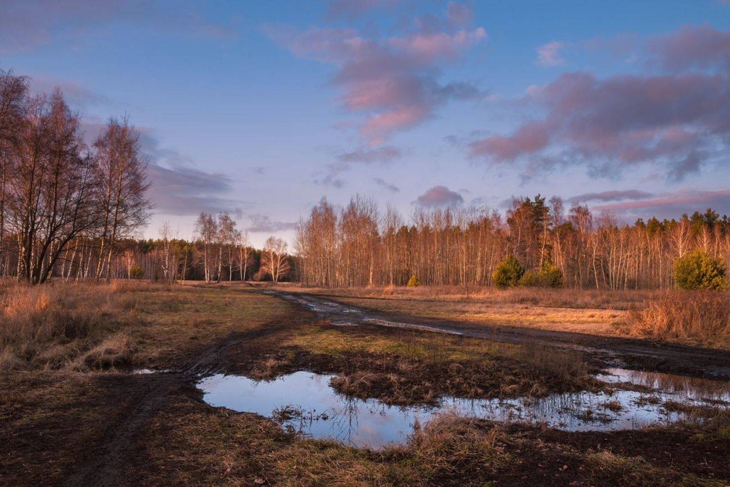 луг зима январь лужи  тучи закат, Галанзовская Оксана