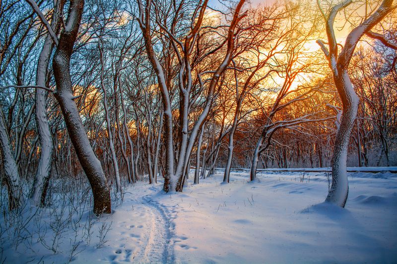 По скрепучему снегу фото превью