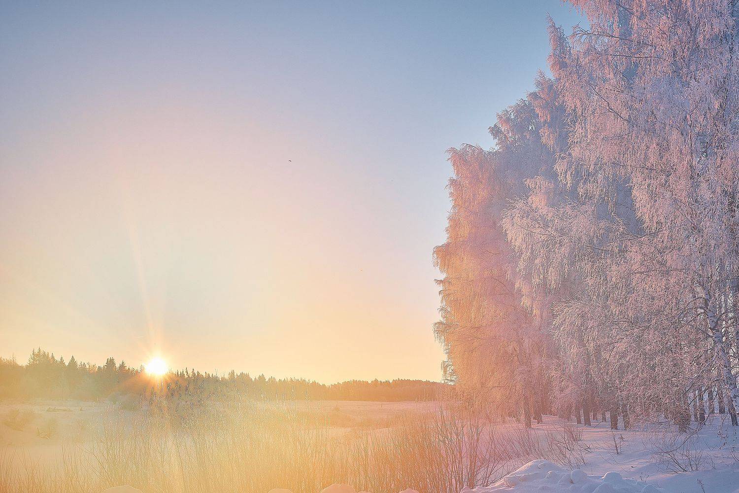 , Владимир Крышковец